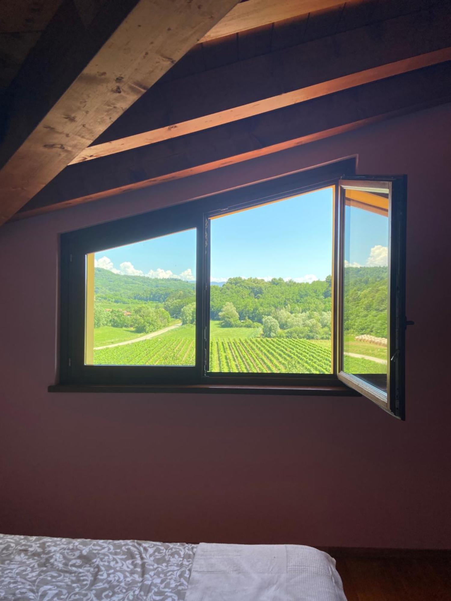 Nema Villa Mossa Luaran gambar
