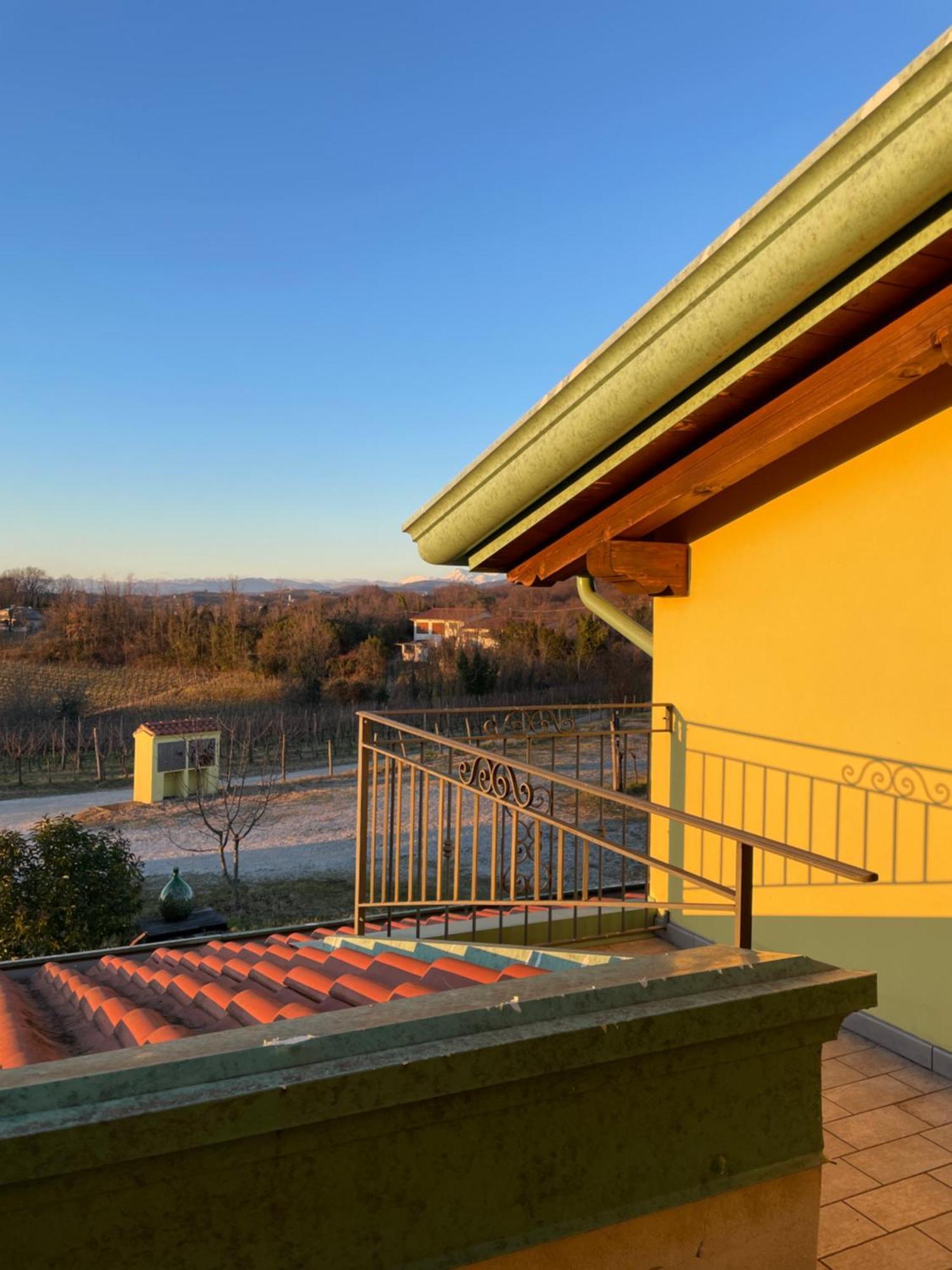 Nema Villa Mossa Luaran gambar